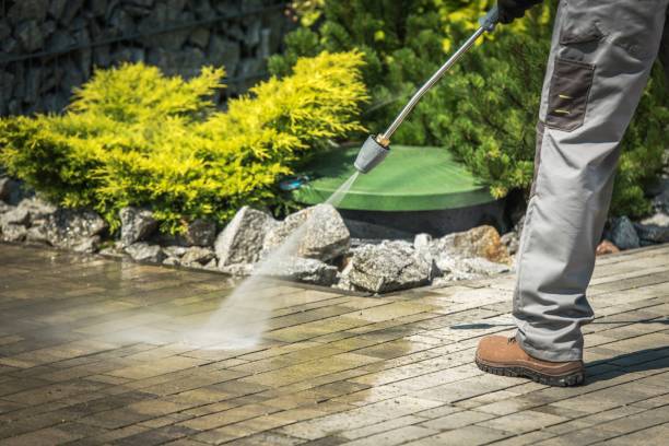 Best Sidewalk and Walkway Cleaning  in Temperance, MI