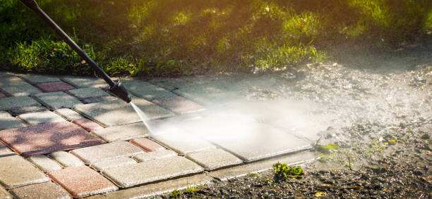 Best Patio and Deck Pressure Washing  in Temperance, MI
