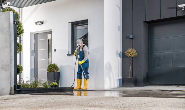 Best Spring Cleaning  in Temperance, MI