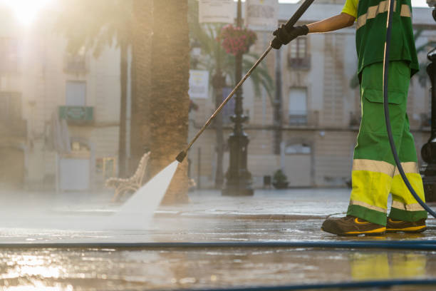 Best Restaurant Pressure Washing  in Temperance, MI